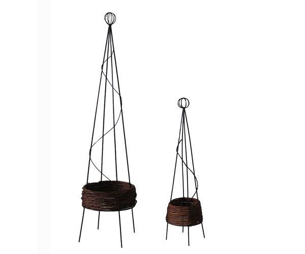 铁柳混合方尖塔