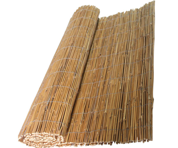 Bamboo cane fence